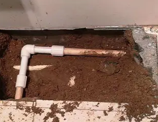 犍为测漏水哪家好